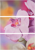 Decor Optical - 3 плочки