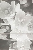 Decor Set Coll Grey - комплект 3 броя плочки