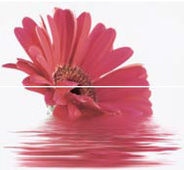 Decor Moments Fresa 2 - 2 плочки