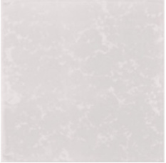 Venecia Blanco