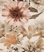 Set Amour Bone 1,2,3 /3 плочки/