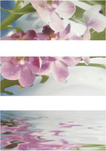Decor Elegant Set - 3 плочки