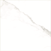 Luxury White