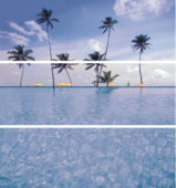Decor Palms Set (3 плочки к-т)