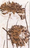 Декорни плочки Галан Marron/Beige