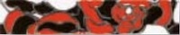 Фризове Рози Negro/Rojo