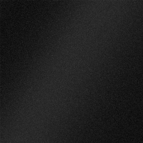 Black Sugar Lapp.