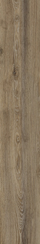 Manitoba Walnut