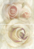 Romance Crema Rosa - 2 части комплект 31.6*45см