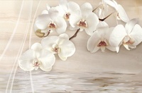 Decor Onice Irina - 4 части комплект